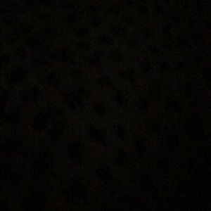 Meet your Posher, Claudya